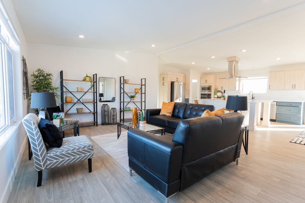 Living Room and Kitchen