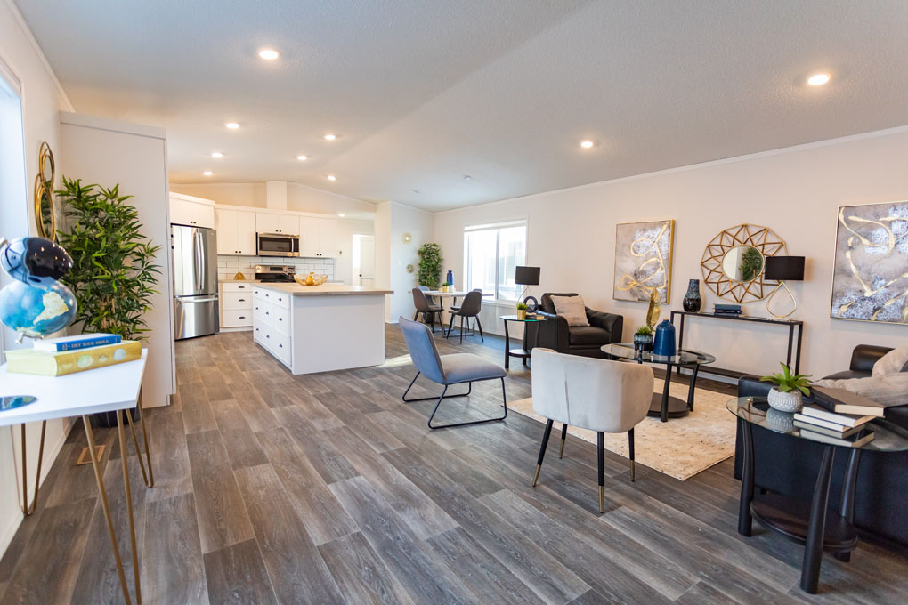 Living Room and Kitchen