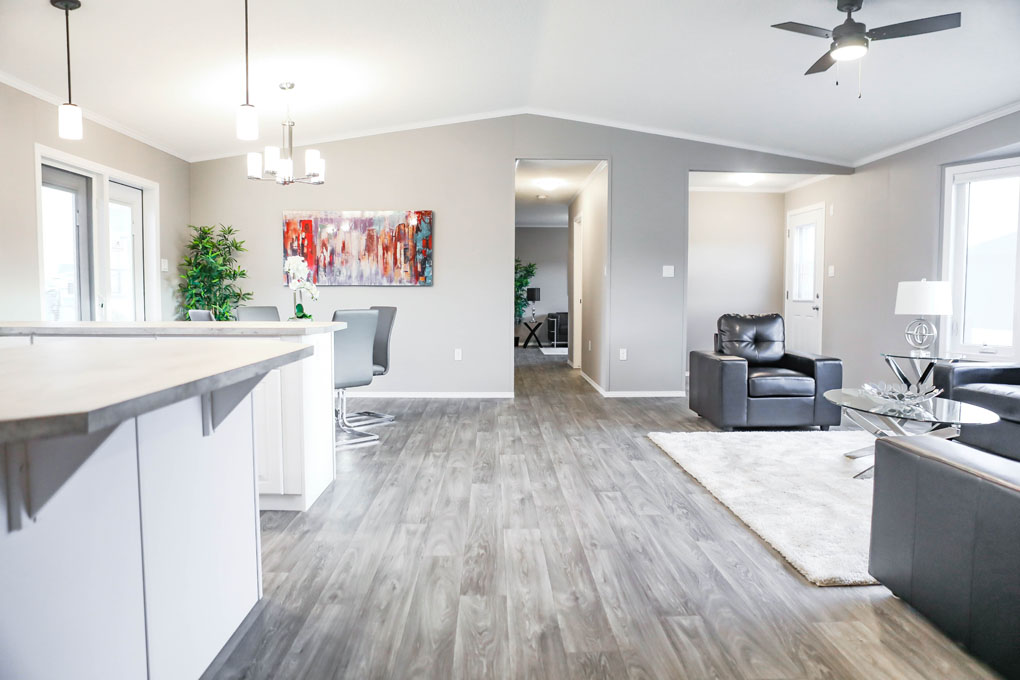Kitchen And Living Room